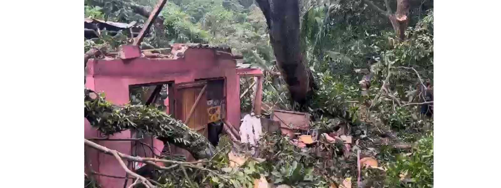 ආපන ශාලාවක් මතට ගසක් කඩා වැටී 7කට තුවාල...